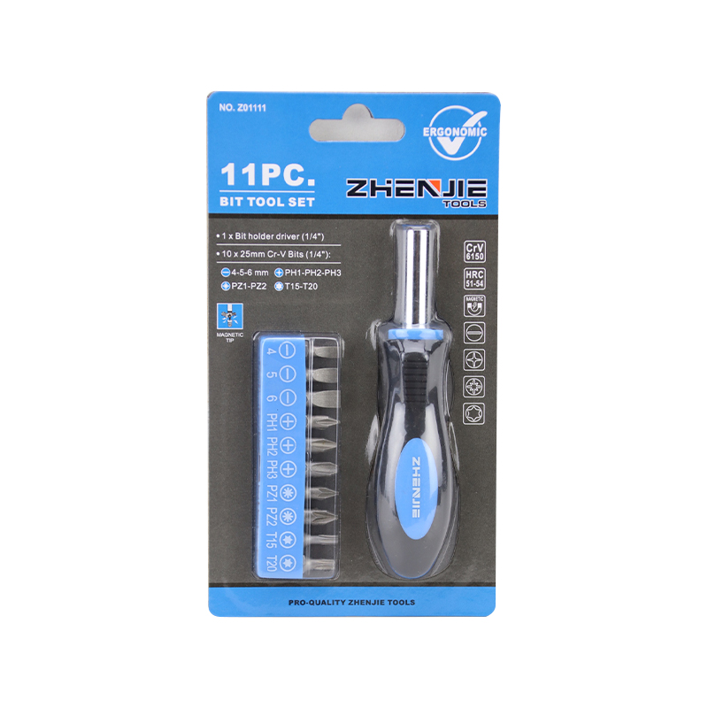 11-teiliger Schlitz-Phillips-Pozidriv-Torx-Ratschen-Bit-Satz