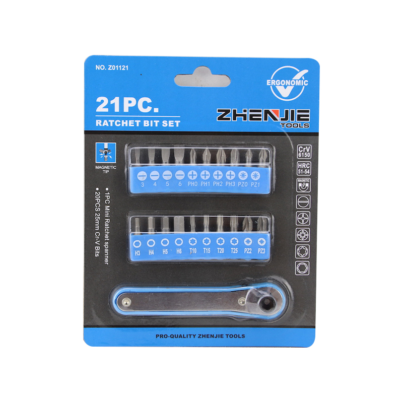 21-teiliges Schlitz-Phillips-Pozidriv-Sechskant-Torx-Ratschen-Bit-Set