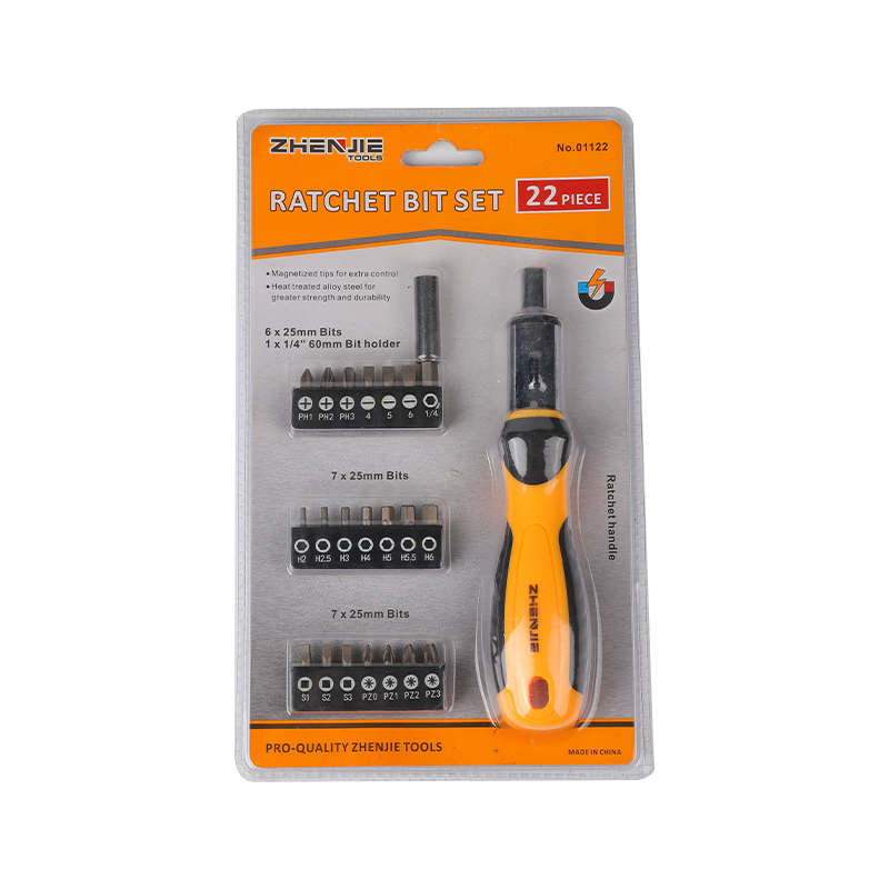 22-teiliges Schlitz-Phillips-Pozidriv-Sechskant-Ratschen-Bit-Set