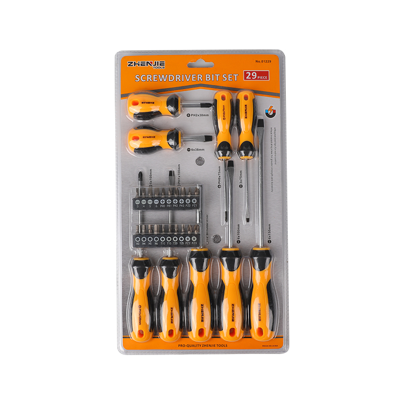 29-teiliges Schlitz-Phillips-Pozidriv-Torx-CRV-Schraubendreher-Bit-Set