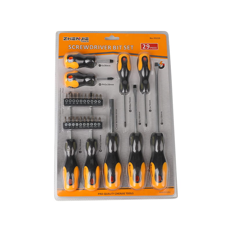 29-teiliges Schlitz-Phillips-Pozidriv-Sechskant-Torx-CRV-Schraubendreher-Bit-Set