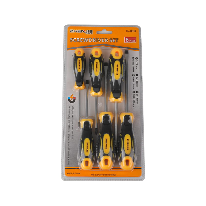 6-teiliges Schlitz- und Kreuzschlitz-CRV-Schraubendreher-Set mit magnetisierter Spitze