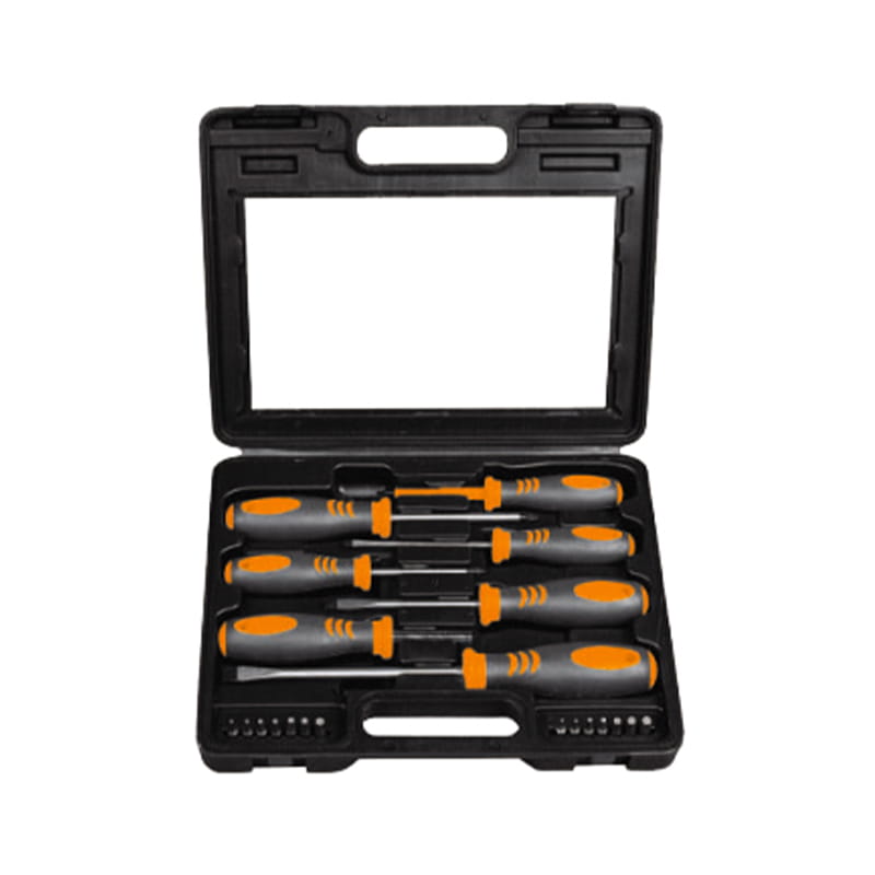 21-teiliges CRV-Schraubendreher-Set von BMC Packaging